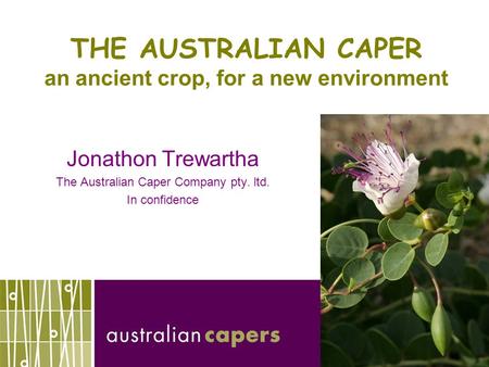 THE AUSTRALIAN CAPER an ancient crop, for a new environment Jonathon Trewartha The Australian Caper Company pty. ltd. In confidence.