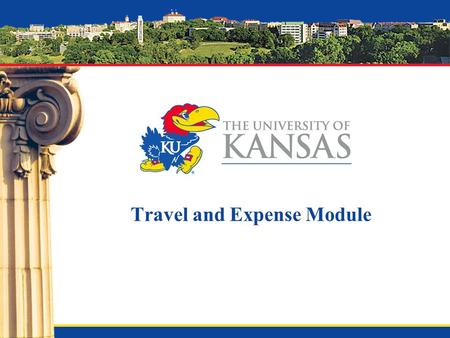 Travel and Expense Module