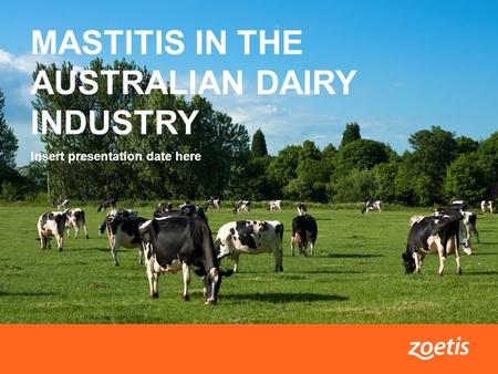 MASTITIS IN THE AUSTRALIAN DAIRY INDUSTRY