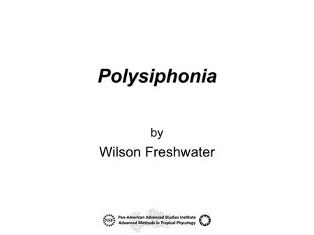 Polysiphonia sensu lato (“in the loose sense”) is the largest red algal genus with over 200 currently accepted species names (Guiry & Guiry 2009). These.