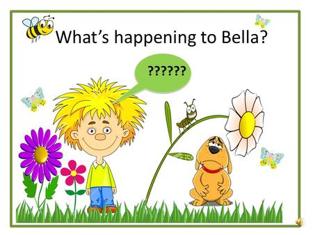 What’s happening to Bella? ?????? On Monday, Sam took Bella his dog for a nice long walk. Bella loves to run during her walks, but today, Bella was SOOOOOO.