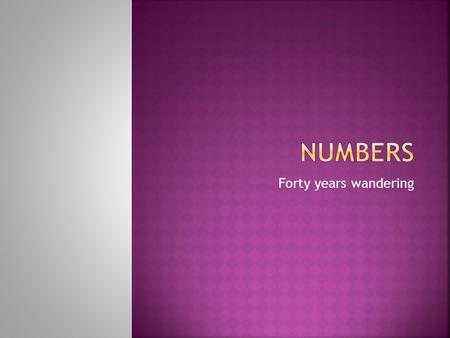 Forty years wandering.  This book marks the transition of Yahweh’s revelation at Mount Sinai with Israel’s journey to Canaan  Numbers looks ahead to.