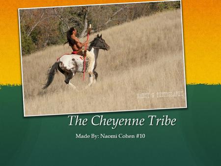 The Cheyenne Tribe Made By: Naomi Cohen #10.