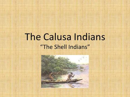 The Calusa Indians “The Shell Indians”