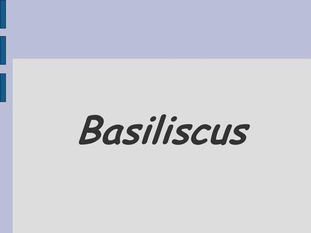 Basiliscus. Presentation is about legend of Basiliscus. Mistical monster which lived in Crooked Circle. It is old house that is very old and dark.