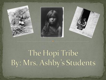 What Did The Hopi Tribe Eat? The Hopi men grew corn and other vegetables to eat. The men learned how to use the rain to water the corn. The women had.