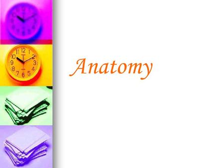 Anatomy.