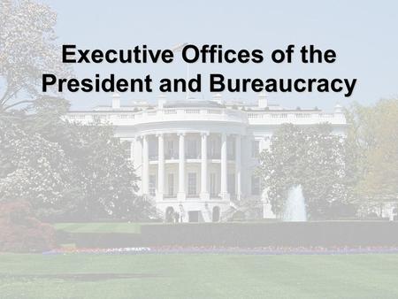 Executive Offices of the President and Bureaucracy