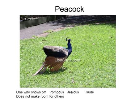 Peacock One who shows off Pompous JealousRude Does not make room for others.