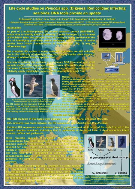 Life cycle studies on Renicola spp. (Digenea: Renicolidae) infecting sea birds: DNA tools provide an update N. Campbell 1, C. Collins 2, M. A. Cross 3,