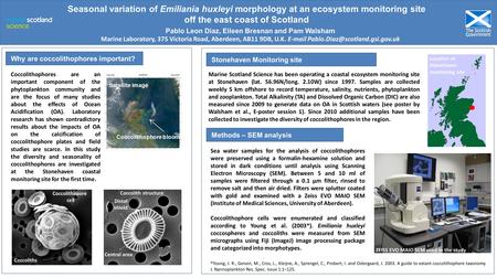 Location of Stonehaven monitoring site Stonehaven Monitoring site Why are coccolithophores important? Seasonal variation of Emiliania huxleyi morphology.