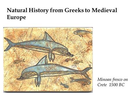 Natural History from Greeks to Medieval Europe Minoan fresco on Crete 1500 BC.