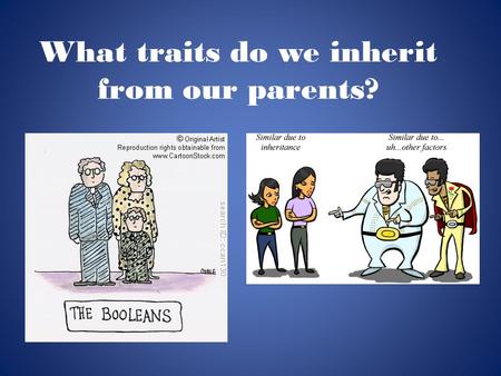 What traits do we inherit from our parents?