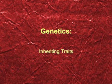 Genetics: Inheriting Traits. Chromosomes Chromosomes are columns of coiled DNA. You have 2 sets from chromosome 1-23 (46 total) Chromosomes are columns.