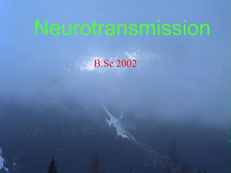 Neurotransmission B.Sc 2002. Archetypal neurotransmitter is acetylcholine; We know more about cholinergic transmission than any other. However, cholinergic.