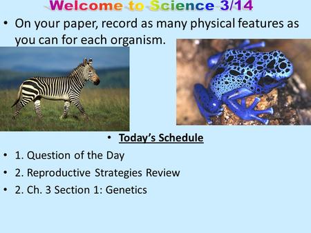 On your paper, record as many physical features as you can for each organism. Today’s Schedule 1. Question of the Day 2. Reproductive Strategies Review.