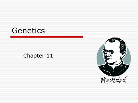 Genetics Chapter 11.