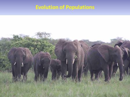 Evolution of Populations