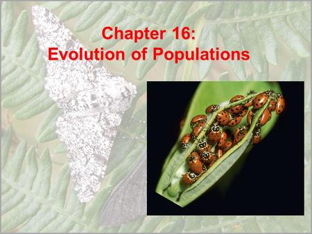 Chapter 16: Evolution of Populations