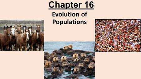 Evolution of Populations