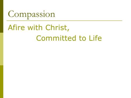 Compassion Afire with Christ, Committed to Life. Christ was Afire with Abba.