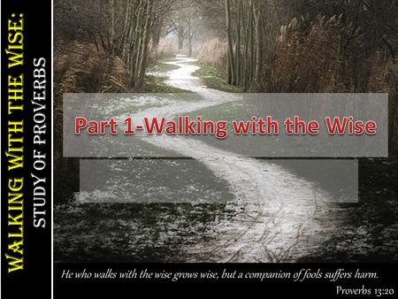 Walking With the Wise: study of Proverbs Walking With the Wise: study of Proverbs He who walks with the wise grows wise, but a companion of fools suffers.