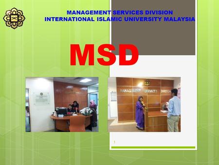 MSD MANAGEMENT SERVICES DIVISION