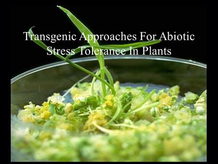 Transgenic Approaches For Abiotic Stress Tolerance In Plants