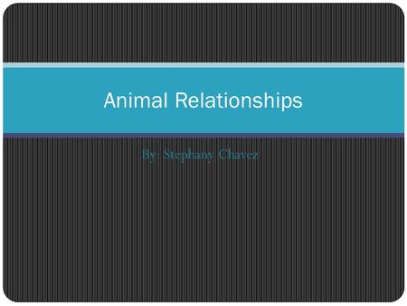 By: Stephany Chavez Animal Relationships. Forest Mutualism - certain ants nest inside the plant's thorns. In exchange for food and shelter, ants protect.