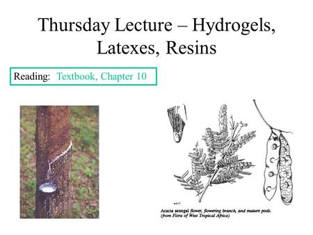 Thursday Lecture – Hydrogels, Latexes, Resins Reading: Textbook, Chapter 10.