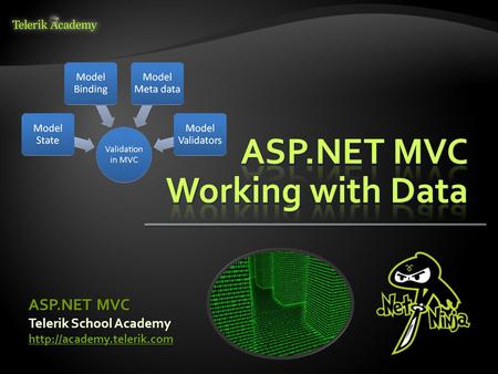 Telerik School Academy  ASP.NET MVC.