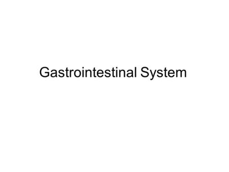 Gastrointestinal System