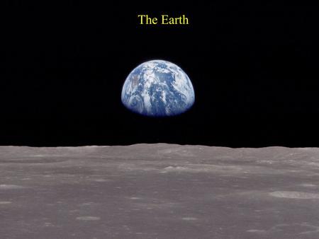 The Earth. Clicker Question: The dinosaurs were most likely wiped out by: A: disease B: hunting to extinction by cavemen C: a giant meteor impact D: the.