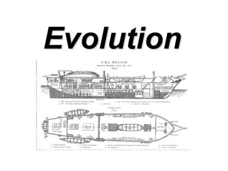 Evolution. Evolution the underlying theme woven throughout the text, refers to the processes that have transformed life on earth from its earliest forms.