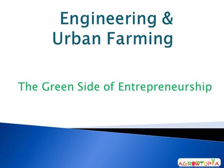 The Green Side of Entrepreneurship.  “ Cultivating a Utopia Within the Desert”