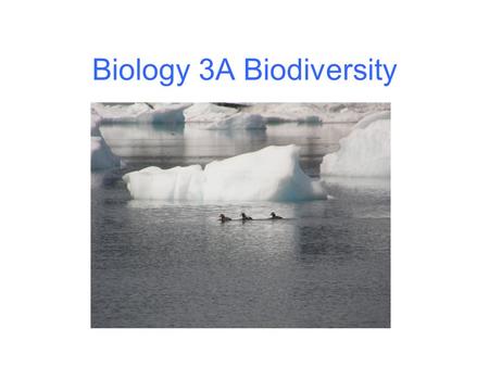 Biology 3A Biodiversity