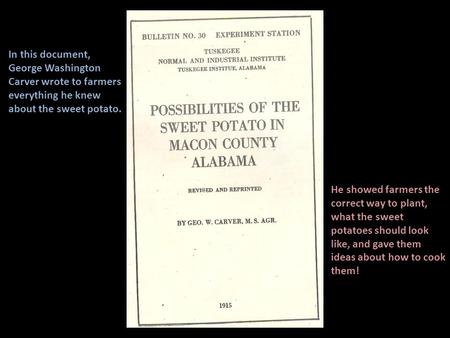 In this document, George Washington Carver wrote to farmers everything he knew about the sweet potato. He showed farmers the correct way to plant, what.