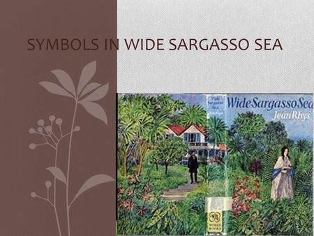 Symbols in Wide Sargasso Sea