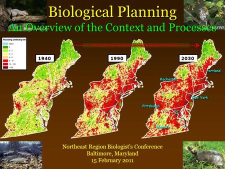 Brian Gratwicke USFWS Biological Planning An Overview of the Context and Processes Northeast Region Biologist’s Conference Baltimore, Maryland 15 February.