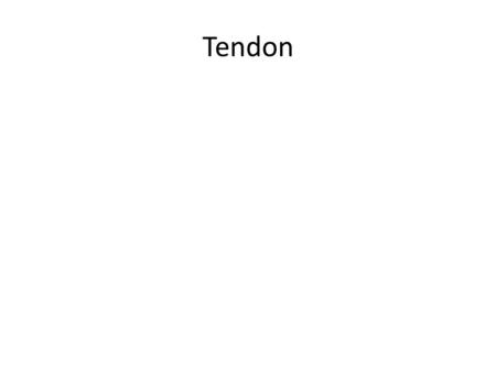 Tendon.