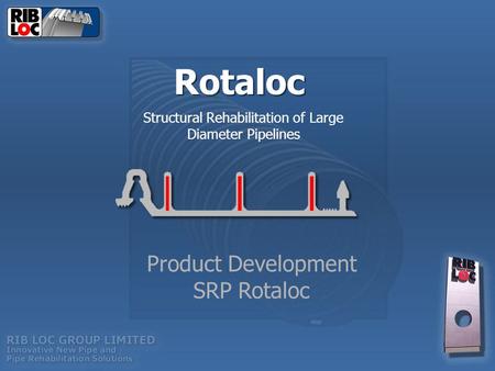 Structural Rehabilitation of Large