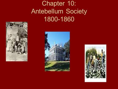 Chapter 10: Antebellum Society