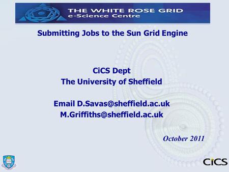 Submitting Jobs to the Sun Grid Engine