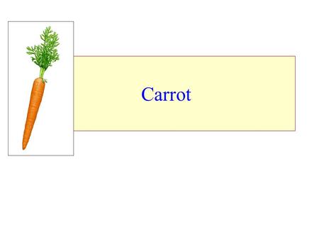 Carrot.