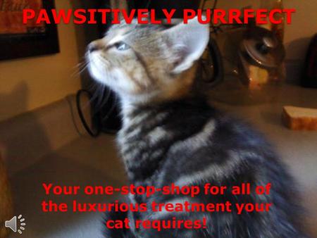 PAWSITIVELY PURRFECT Your one-stop-shop for all of the luxurious treatment your cat requires!