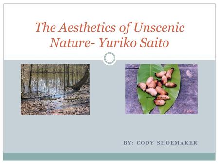 BY: CODY SHOEMAKER The Aesthetics of Unscenic Nature- Yuriko Saito.