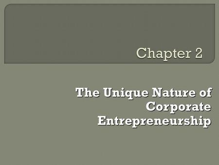 The Unique Nature of Corporate Entrepreneurship