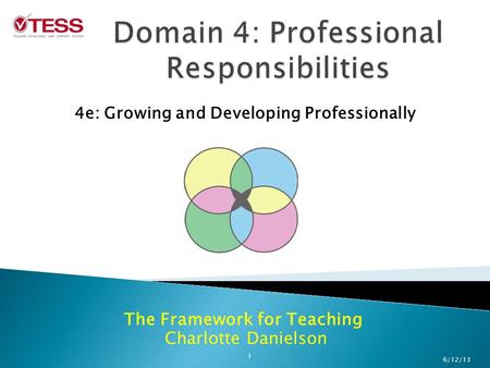 Domain 4: Professional Responsibilities