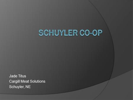 Jade Titus Cargill Meat Solutions Schuyler, NE. Tech Rendering Melt Tanks  Inefficient use of steam  Over cooks the tallow (emulsifies)  High temperatures.