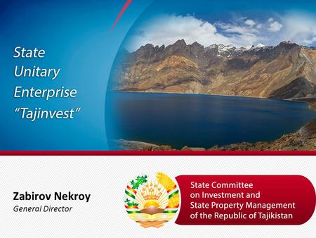 Zabirov Nekroy General Director. 2 Coordination of Investment activity Searching for projects, partners and contacts: – Searching for the investment.